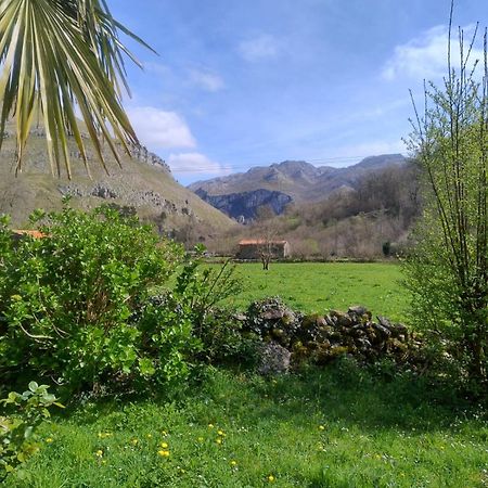 Amplia Y Comoda Casa De Piedra Con Porche Y Jardin San Roque de Riomiera Bagian luar foto