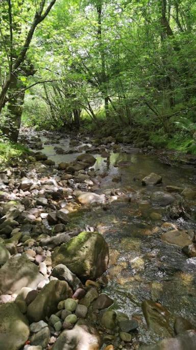 Amplia Y Comoda Casa De Piedra Con Porche Y Jardin San Roque de Riomiera Bagian luar foto