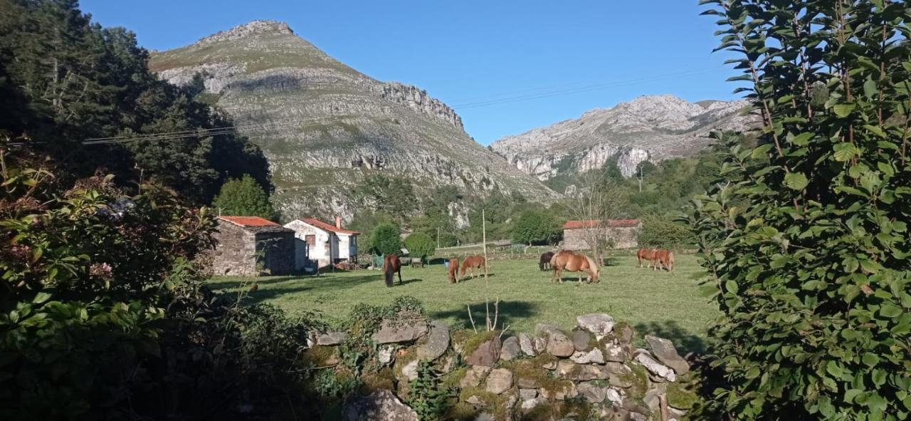 Amplia Y Comoda Casa De Piedra Con Porche Y Jardin San Roque de Riomiera Bagian luar foto