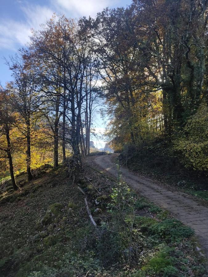 Amplia Y Comoda Casa De Piedra Con Porche Y Jardin San Roque de Riomiera Bagian luar foto