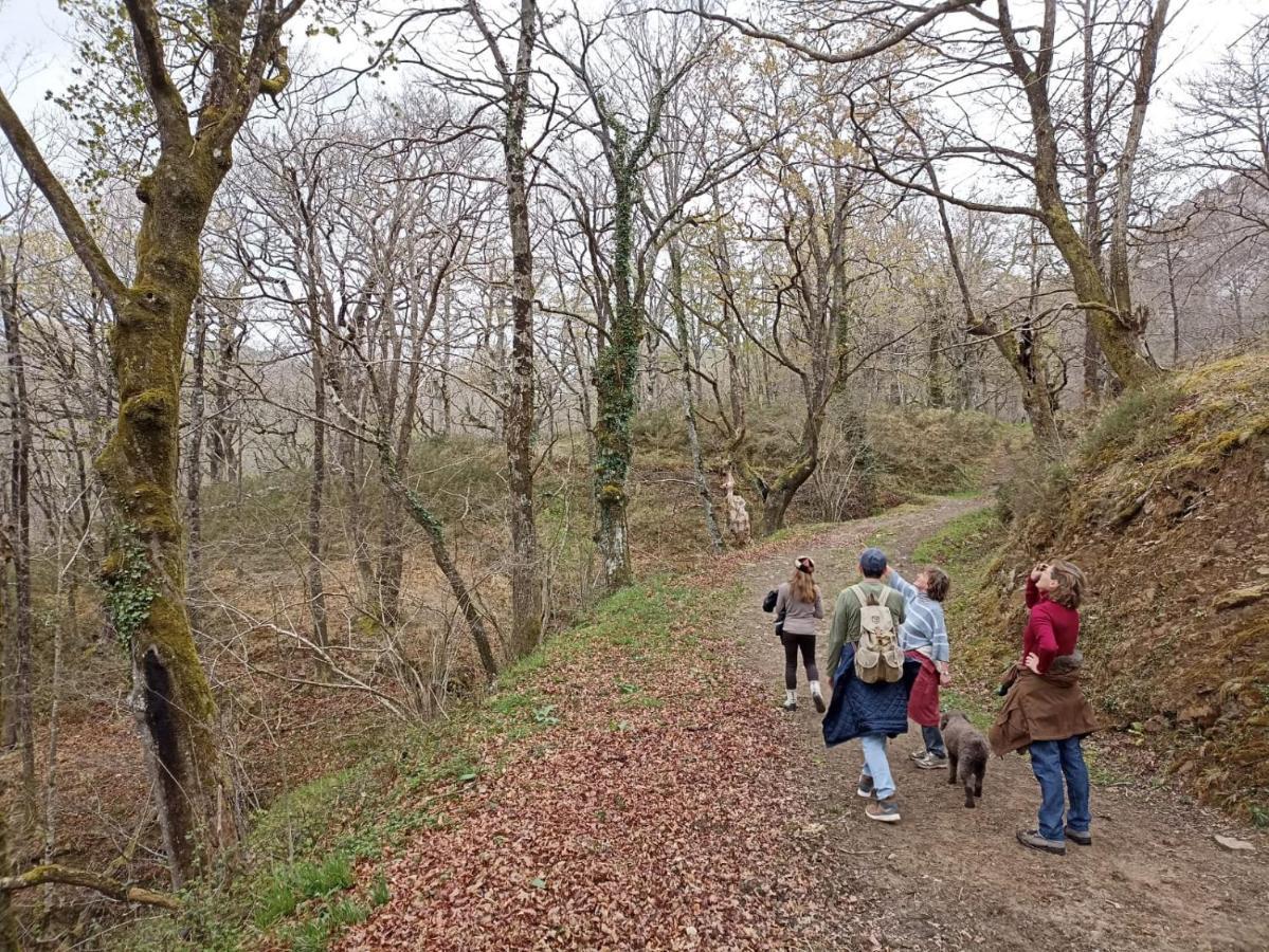 Amplia Y Comoda Casa De Piedra Con Porche Y Jardin San Roque de Riomiera Bagian luar foto