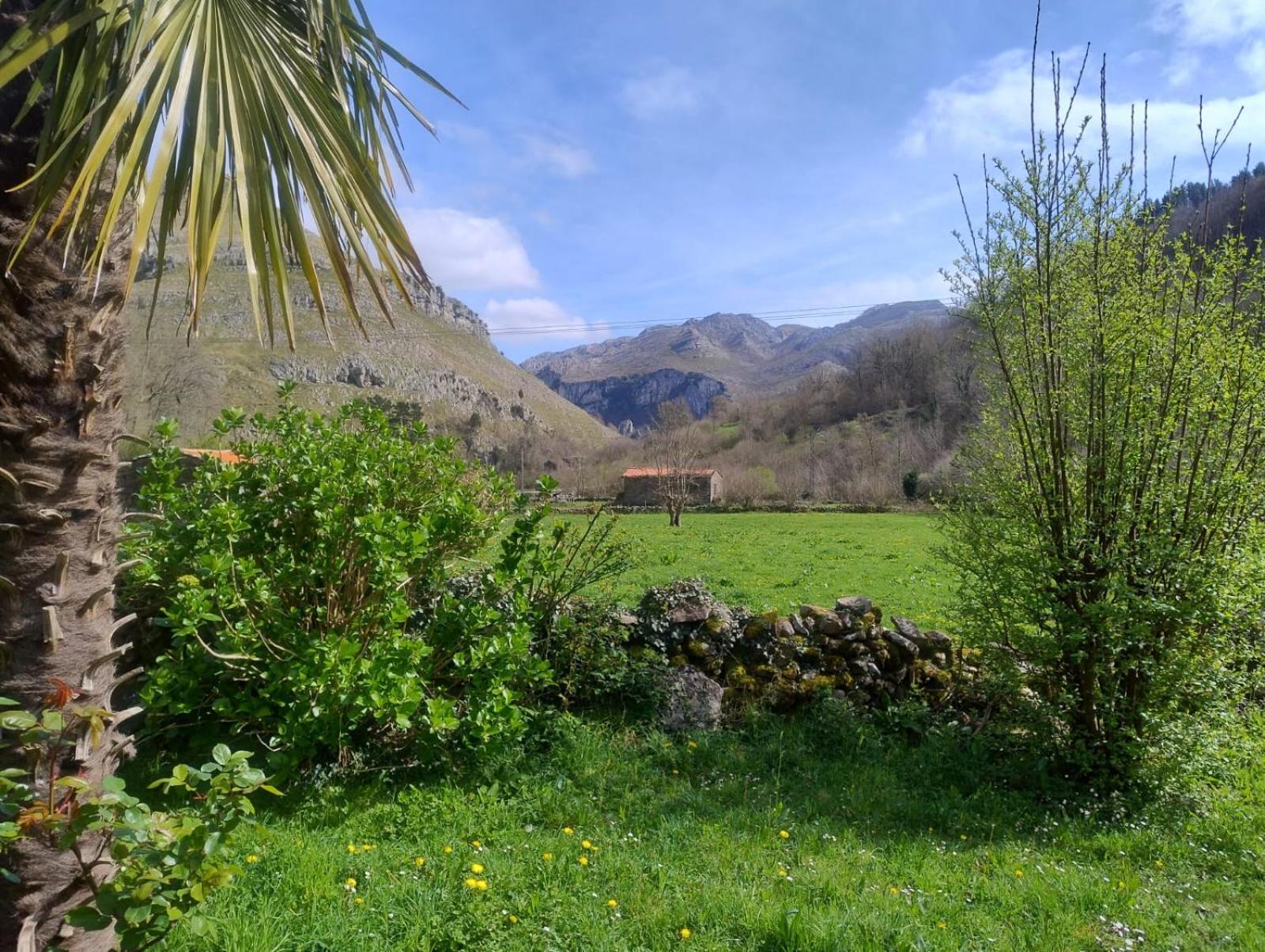 Amplia Y Comoda Casa De Piedra Con Porche Y Jardin San Roque de Riomiera Bagian luar foto